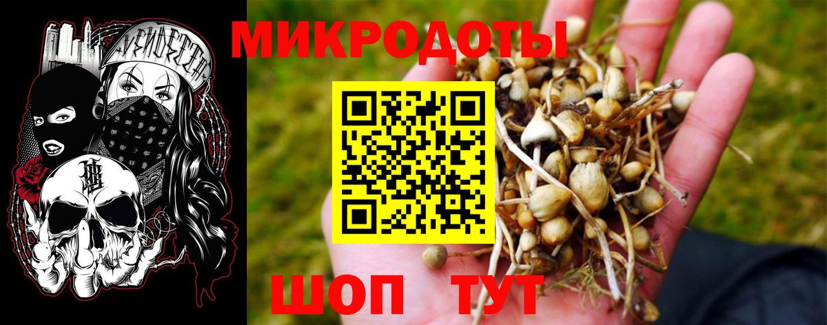 Уфа  продажа наркотиков  Вход с VPN  Псилоцибиновые грибы Psilocybine cubensis 